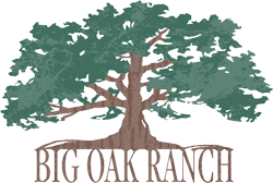 Big Oak Ranch